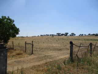 Paysage de l'Alentejo.