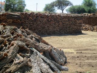 Récolte et stockage du bois de chêne-liège dans l'Alentejo.