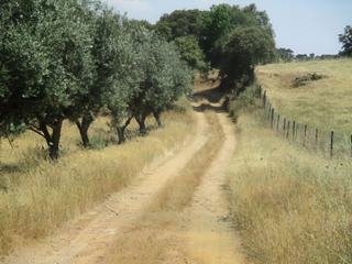 Paysage de l'Alentejo.