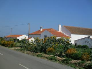 Maisons typiques près de la côte atlantique.