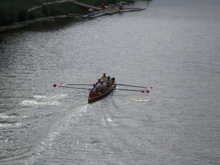 Florence: des pratiquants d'aviron sur l'Arno.
