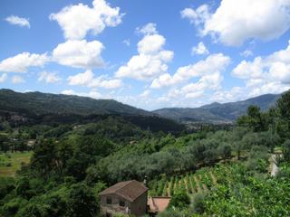 Paysage entre Lucca et Carrare.