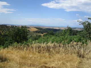 Paysage de campagne en allant vers Volterra.
