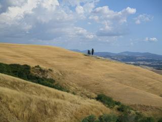 La campagne autour de Volterra.