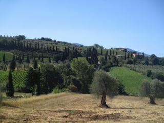 Autour de l'abbaye Sant'Antimo.