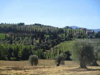 Autour de l'abbaye Sant'Antimo.