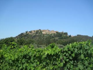 Castelnuovo dell'Abate.