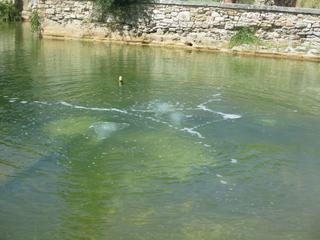 Bagno Vignoni: c'est de ce point que surgit l'eau chaude à 52°C du bassin.
