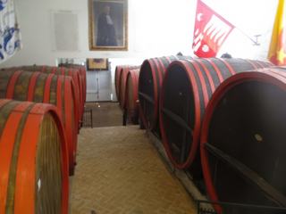 Les chais de la Fattoria dei Barbi à Montalcino.