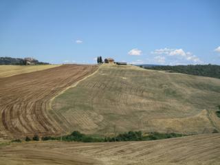 Environs de Montalcino.