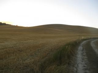 On est en pleine période de moissons. Avec un tel relief, ça ne doit pas être facile pour les machines!
