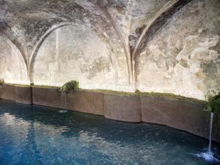 Sienne: la "Fontebranda", la fontaine la plus imposante de la ville.