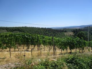 Paysage du Chianti.