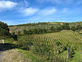Paysage du Chianti.