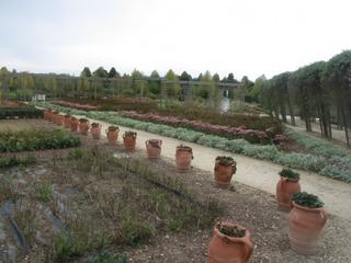 Jardins du Palazzo Venaria Reale.
