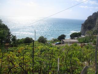 En montant à pied vers Corniglia.