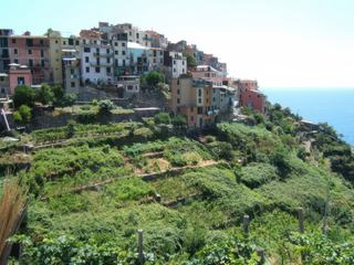 Corniglia.
