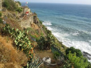 Le sentier de Corniglia à Vernazza.