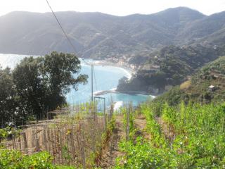 Sentier entre Monterosso et Vernazza.