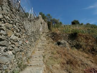 Sentier entre Monterosso et Vernazza.