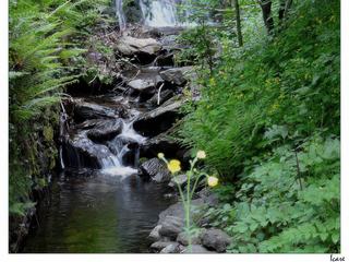 La rivière, la Mousse, passe à côté de la maison.