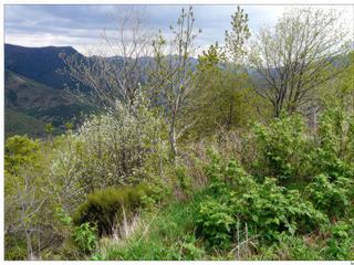 Depuis Valleraugue, nous prenons la D986 qui serpente à travers de beaux paysages.