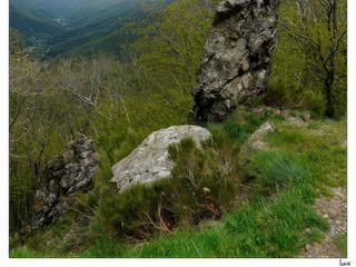 Menhir au Mont Aigoual.