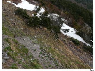 De la neige par-çi par-là...
