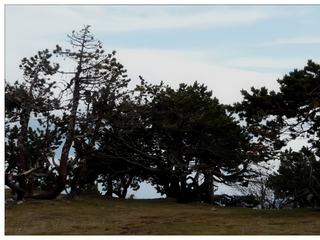 Allez marchons, on a vraiment l'impression qu'on va s'envoler. Pour ceux qui connaissent les bourrasques de vent à la Pointe du Raz, c'est un peu la même chose ici!