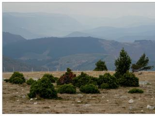 Un dernier regard avant de redescendre dans la vallée et de retrouver le soleil.