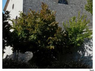 Chaque village possède son temple et ses sites de mémoire. Dans les campagnes, il est fréquent de voir les tombes des familles protestantes, longtemps interdites de cimetière, souvent signalées par un cyprès.