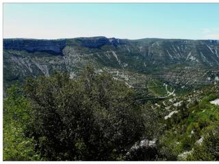La route sinueuse est boisée de chênes et de sapins. L'aridité des lieux et la blancheur des pierres donnent à cet endroit perdu un caractère exceptionnel...