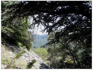 Arrêt pique-nique à l'abri du soleil dans ce coin magnifique.