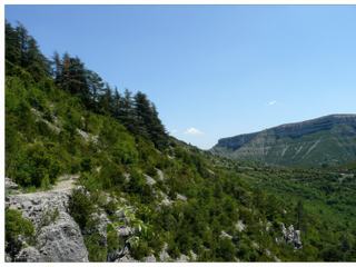 Rien de tel pour digérer que d'aller voir la résurgence de la Vis et les moulins de la Foux, nous prenons le sentier qui descend aux moulins.