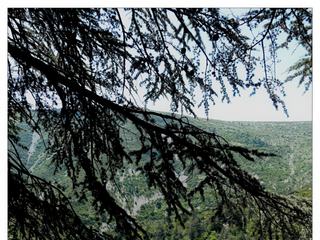 Voyez-vous la Vis au fond de la gorge?
