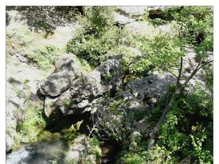 Impressionnant le débit de la Vis!