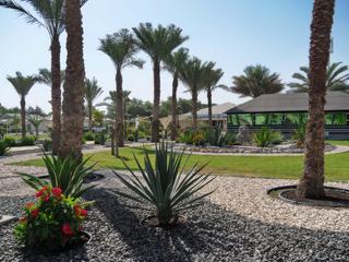 Nous avons visité le prestigieux Abu Dhabi Falcon Hospital, le plus grand au monde et le plus moderne. Falcon = Faucon en français.