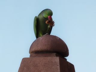 Pendant note repas sur la terrasse couverte, nous avons eu la visite d'un petit voleur qui a joué les vedettes.