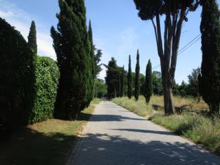 Rome: Via Appia Antica.