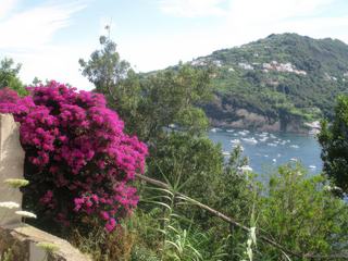 L'île d'Ischia.