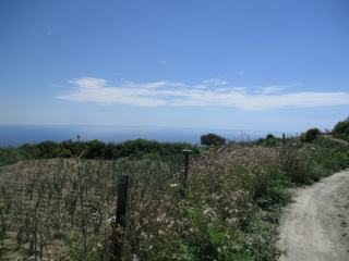 L'île d'Ischia: Sentier du Monte Epomeo.