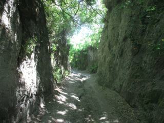 L'île d'Ischia: Sentier du Monte Epomeo.