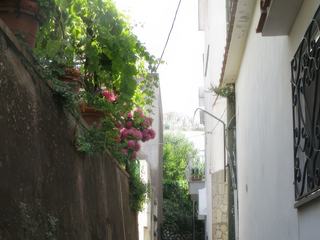 L'île de Capri: Anacapri.