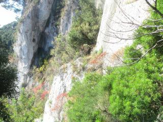 L'île de Capri: Scali Fenici.