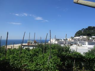 L'île de Capri.