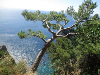 L'île de Capri: l'Arco Naturale.