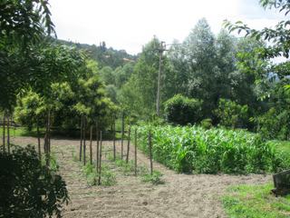 Parco Nazionale del Pollino.