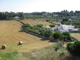 Environs de Cisternino.