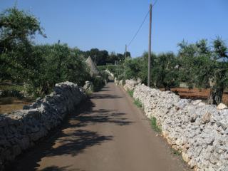Région des trulli.