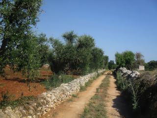 Région des trulli.
